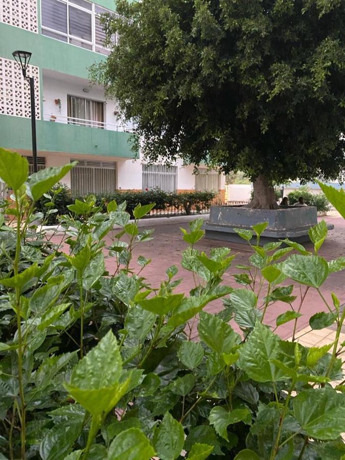 Ferienwohnung Detail Rose Puerto de la Cruz  Exterior foto